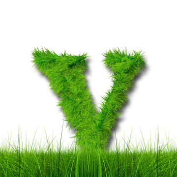 Conceptual green grass 3D font isoalted