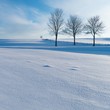 canvas print picture - Winterlandschaft