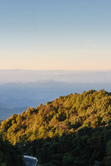 Wall Mural - The road curves up Doi Inthanon.