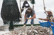 © Wollwerth Imagery - Deckhands working on fishing boat