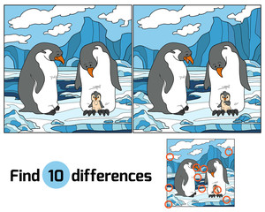 Wall Mural - Find differences (penguin)