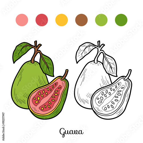 coloring book fruits and vegetables guava buy this stock vector coloring book fruits and vegetables guava