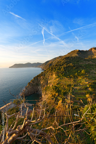 Ligurian Coastline - Cinque Terre Italy / The coast of Liguria near Corniglia, La Spezia Poster