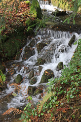 Poster - Stream in Autumn