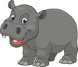 Cute funny hippo