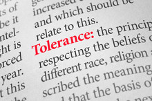 Definition Of The Word Tolerance In A Dictionary