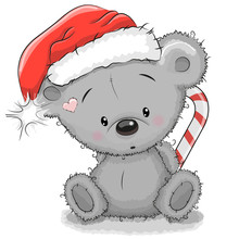Bear In A Santa Hat