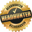golden shiny vintage headhunter 3D vector icon seal sign button star with checkmark