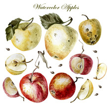 Watercolor Set With Apples On A White Background