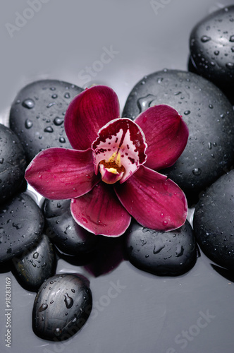 Naklejka - mata magnetyczna na lodówkę Red orchid with therapy stones 