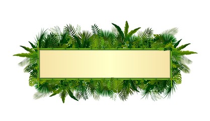 Wall Mural - Tropical plants background. rectangle floral frame with space for text in concept bamboo