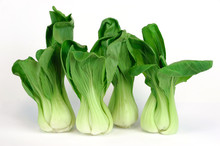 Bok Choy Green Leaf Asia Vegetable On White Background
