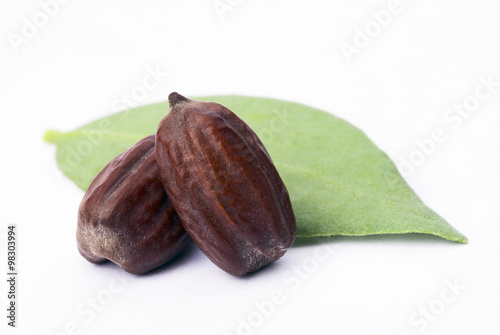 Fotografie, Obraz Jojoba (Simmondsia chinensis) leaves and seeds