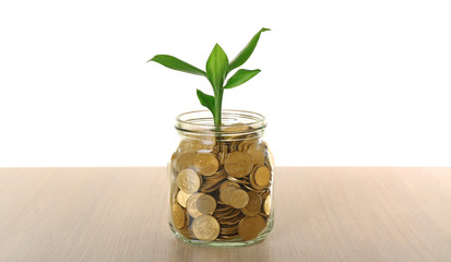 Sticker - Money and growing sprout in glass jar on table