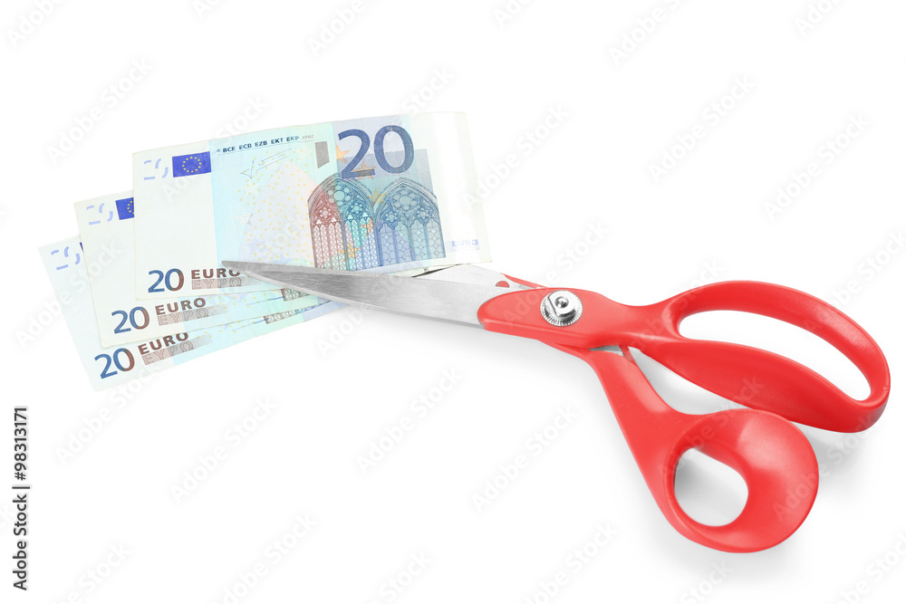 Scissors cut euro banknotes, isolated on white