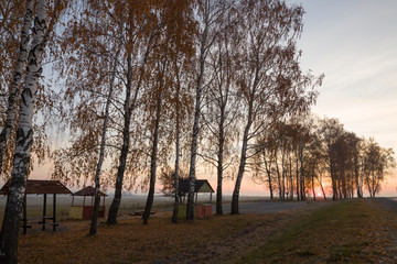 meeting at the dawn of the road