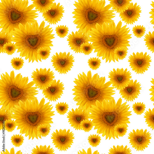 seamless pattern flower sunflower