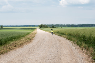 Wall Mural - Nice summer day in latvian countryside.