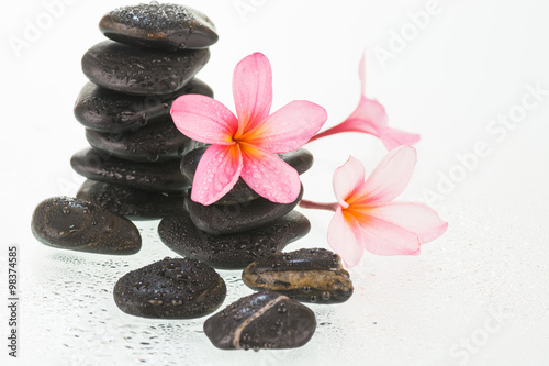 Fototapeta na wymiar Plumeria flowers and black stones with water drops close-up