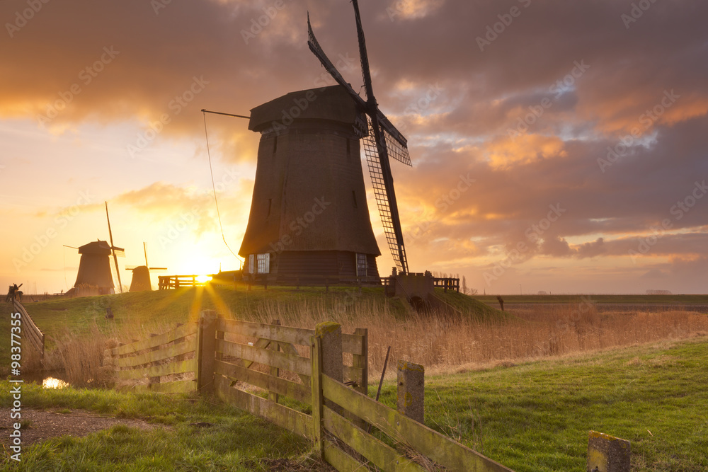Traditional Dutch windmills at sunrise in The Netherlands - obrazy, fototapety, plakaty 