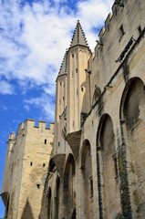 Wall Mural - Popes Palace, Avignon