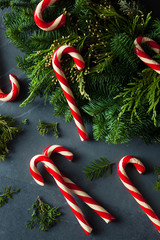 Sticker - Festive Homemade Candy Canes