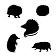 Hedgehog set vector