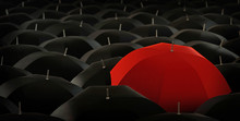 Red Umbrella In Blacks