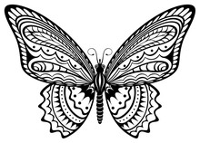 Vector Illustration Of A Stylized, Decorative Black And White Butterfly.