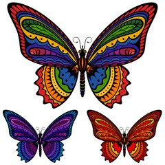 Wall Mural - Vector illustration of a colorful patterned butterfly, in three different color schemes.