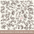 © Mary fleur - Collection of vector hand drawn flourishes in engraved style. Me