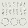 Circle floral borders, wreaths, frames. Sketch elements, hand-drawn with ink. Vector illustration