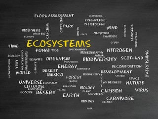 Sticker - Ecosystems