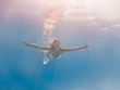 © Netfalls - Young woman swimming underwater