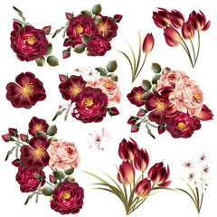 Wall Mural - Collection of realistic pastel flowers