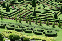 Garden Path With Topiary Landscape