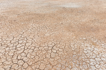 Wall Mural - crack ground in dry season