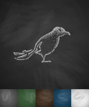 Bird Icon. Hand Drawn Vector Illustration