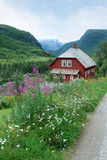 Fototapeta Paryż - Red house in Norwegian mountains, Norway