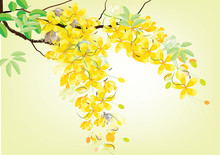 Golden Shower Flowers Or Ratchaphruek ,yellow Flowers Watercolor Look  On White Background,set Of Asean National Flower For Thailand