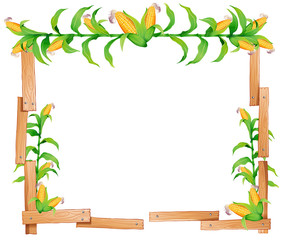 Wall Mural - border design with fresh corn