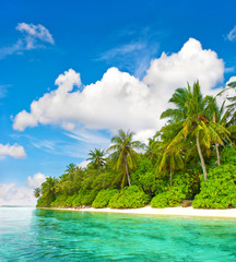  Tropical island beach. Palm trees. Blue water sky