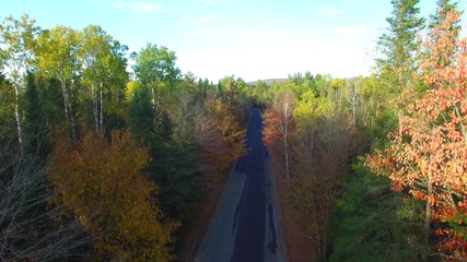 Canvas Print - New England. Beautiful aerial view of fall foliage