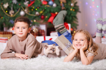 Happy children and fluffy cat in a box in the decorated Christmas room