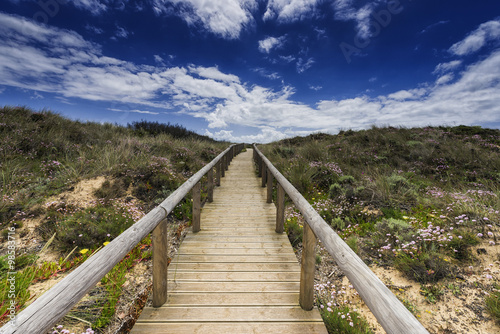 Nowoczesny obraz na płótnie Weg durch die Dünenlandschaft, Portugal