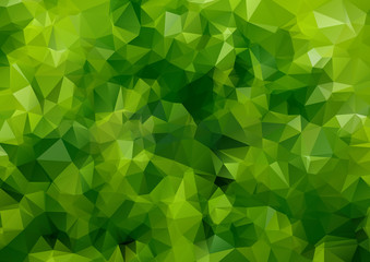 Wall Mural - Green abstract  colorful background