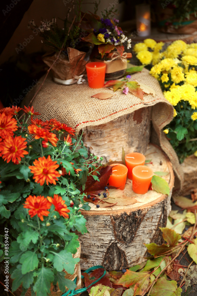 Composition of candles and chrysanthemums on wooden snags inside