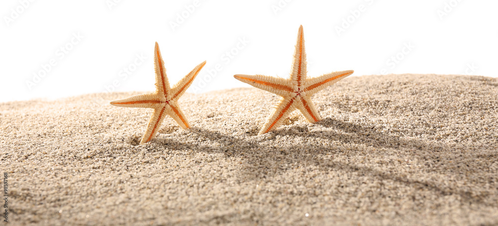 Sea stars on sand isolated on white