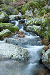 Beautiful river and big rocks with moss