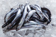 fresh raw fish anchovy on ice seafood